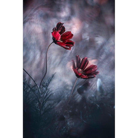 I Will Always Be There For You Black Modern Wood Framed Art Print by Bravin, Fabien