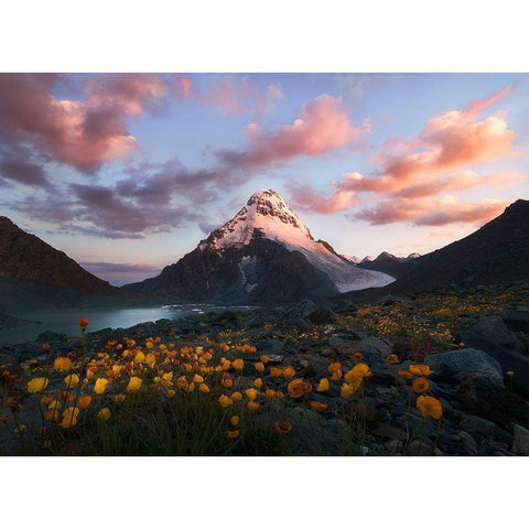 E?Paemmacsc??AdÂCÂNaandsup3;D Black Modern Wood Framed Art Print by Kaka