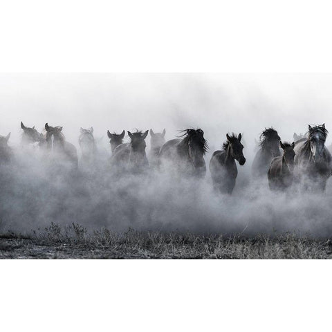 Mustangs White Modern Wood Framed Art Print by Pancareken, Yavuz