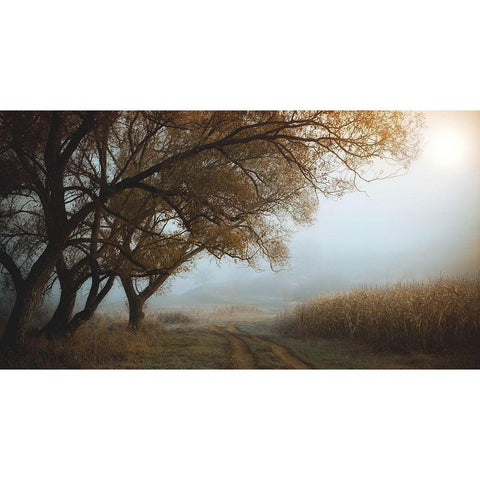 October Morning Black Modern Wood Framed Art Print with Double Matting by Hoandra, Nicu