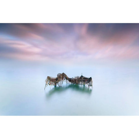 Netfish White Modern Wood Framed Art Print by Guerola, Joaquin