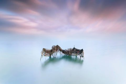 Netfish Black Ornate Wood Framed Art Print with Double Matting by Guerola, Joaquin