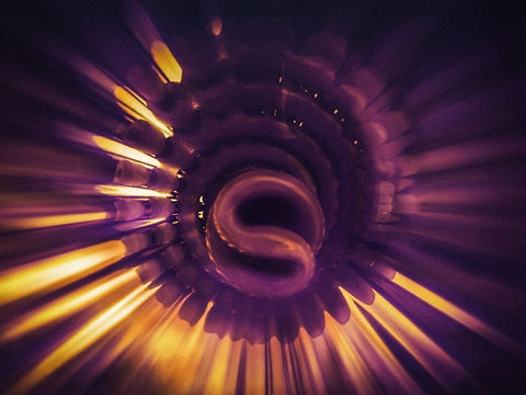 Pro Sun Black Ornate Wood Framed Art Print with Double Matting by Menhard, Ingo