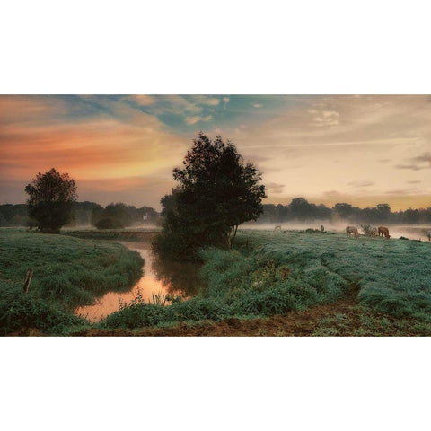 Foggy Dream Gold Ornate Wood Framed Art Print with Double Matting by Dingemans, Saskia