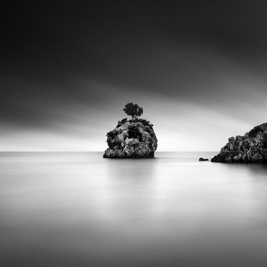 Image Only