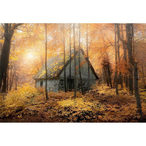 House In The Forest During Fallseason Gold Ornate Wood Framed Art Print with Double Matting by Lindsten, Christian