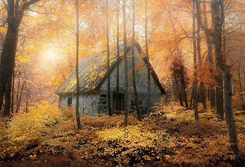 House In The Forest During Fallseason White Modern Wood Framed Art Print with Double Matting by Lindsten, Christian
