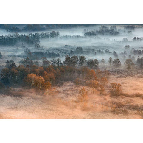 Autumnal Misty Dawn White Modern Wood Framed Art Print by Carozzi, Fiorenzo