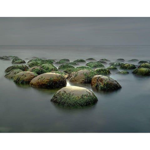 Bowling Ball Beach Gold Ornate Wood Framed Art Print with Double Matting by W. Chen, Janice