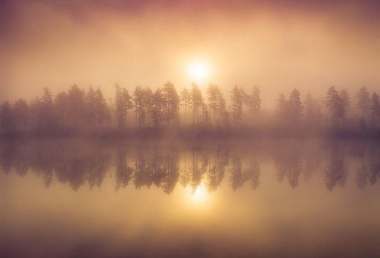 Image Only