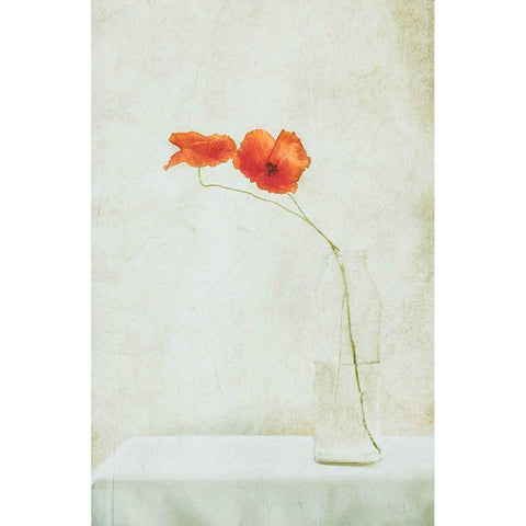 Two Poppies In A Bottle Black Modern Wood Framed Art Print by Devos, Delphine