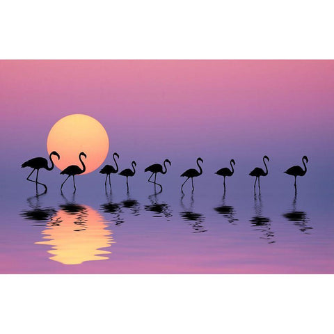 Family Flamingos White Modern Wood Framed Art Print by Hamiti, Bess