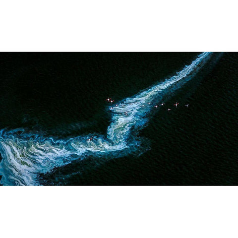 Dances With Waves White Modern Wood Framed Art Print by J. Chen, John