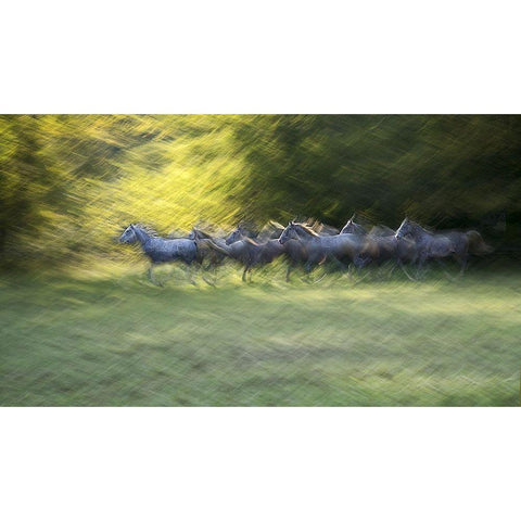 Autumn Time Black Modern Wood Framed Art Print with Double Matting by Malovrh, Milan
