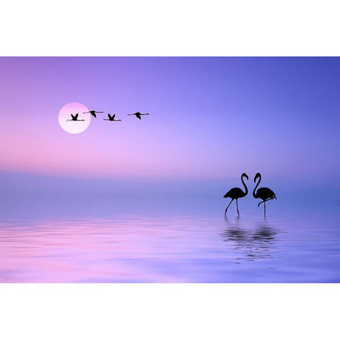 Flying Flamingo Gold Ornate Wood Framed Art Print with Double Matting by Hamiti, Bess