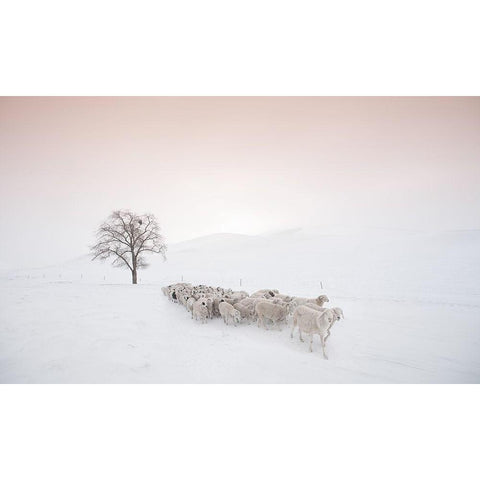 Flock Looking For Food White Modern Wood Framed Art Print by Z, Bingo