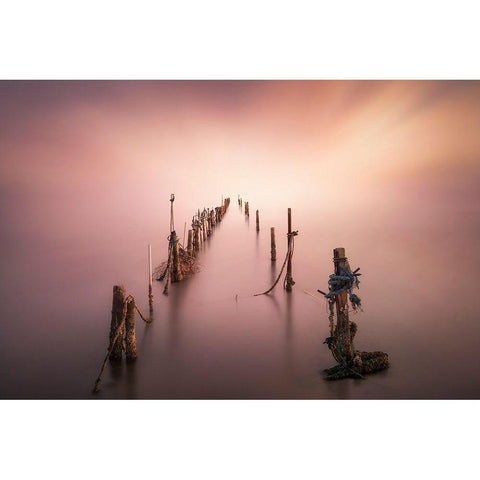 Sticks White Modern Wood Framed Art Print by Guerola, Joaquin