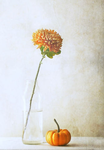 Autumn Flower Black Ornate Wood Framed Art Print with Double Matting by Devos, Delphine