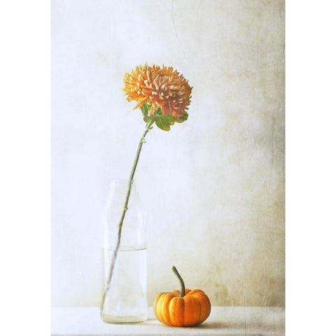 Autumn Flower Black Modern Wood Framed Art Print with Double Matting by Devos, Delphine