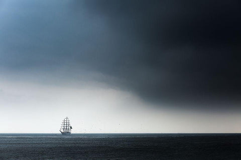 Cisne Branco Black Ornate Wood Framed Art Print with Double Matting by Drijfhamer, Ton