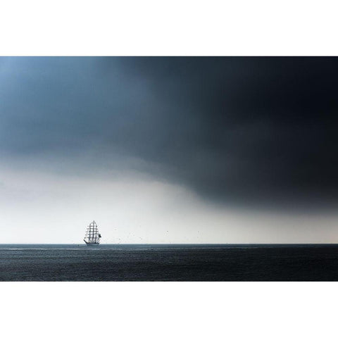 Cisne Branco Gold Ornate Wood Framed Art Print with Double Matting by Drijfhamer, Ton