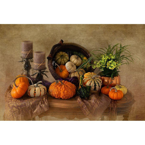 Autumn Gathering Black Modern Wood Framed Art Print with Double Matting by Hewson, Darlene