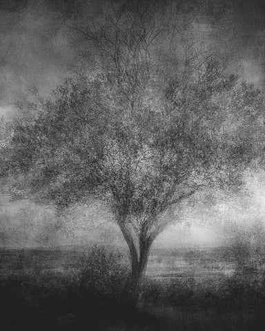 Reminisce White Modern Wood Framed Art Print with Double Matting by Holmstrom, Katarina