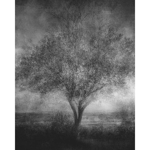 Reminisce Black Modern Wood Framed Art Print by Holmstrom, Katarina