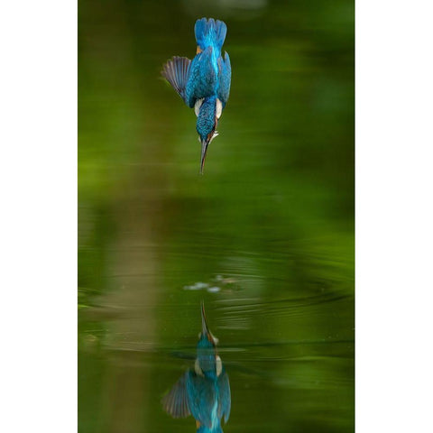 Pitchdown Black Modern Wood Framed Art Print with Double Matting by Kennyc