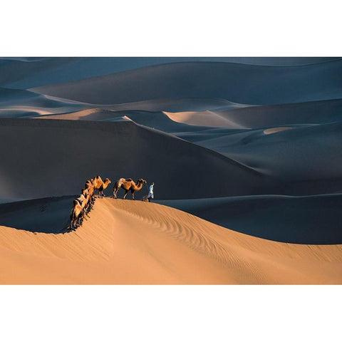 Desert Boat Black Modern Wood Framed Art Print with Double Matting by Liu, Richard