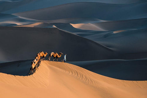 Desert Boat Black Ornate Wood Framed Art Print with Double Matting by Liu, Richard