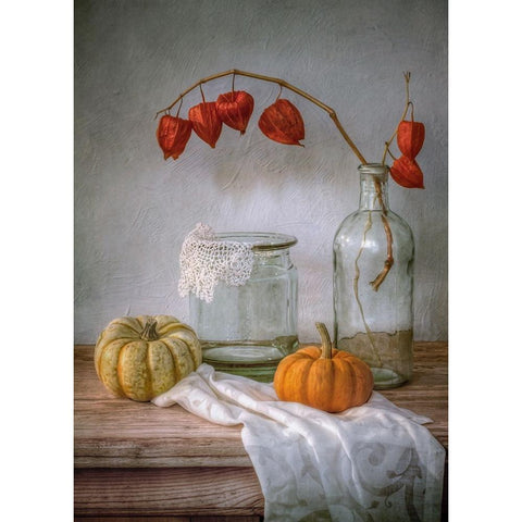 Still Life With Physalis And Pumpkin White Modern Wood Framed Art Print by Disher, Mandy