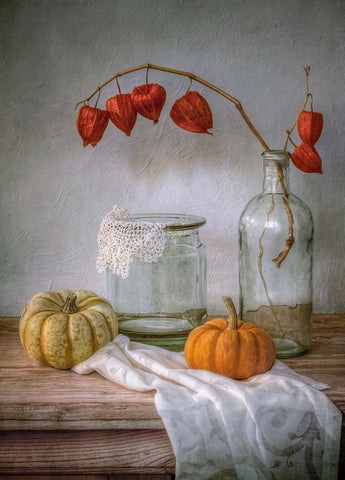 Still Life With Physalis And Pumpkin White Modern Wood Framed Art Print with Double Matting by Disher, Mandy