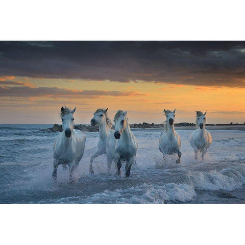 In The Waves White Modern Wood Framed Art Print by Vekemans, Muriel