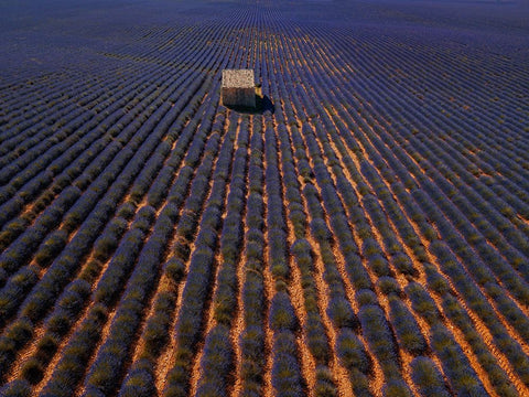 Cottage White Modern Wood Framed Art Print with Double Matting by Kravanja, Jure