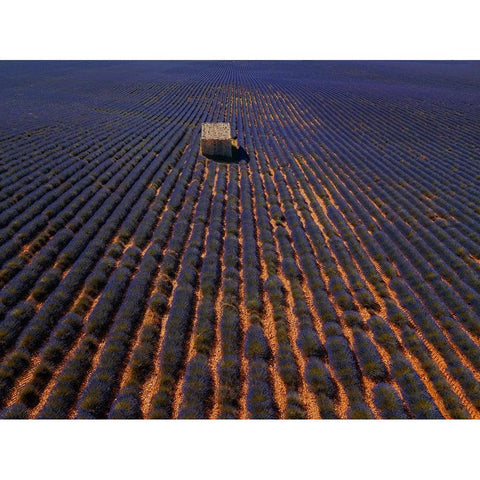 Cottage Black Modern Wood Framed Art Print by Kravanja, Jure