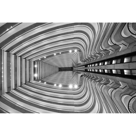 Rib Cage Black Modern Wood Framed Art Print with Double Matting by Wolbers, Louise