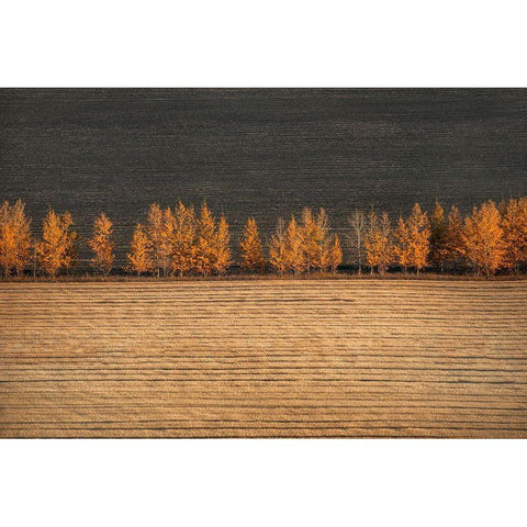 Autumn Colors Black Modern Wood Framed Art Print with Double Matting by Tianqi