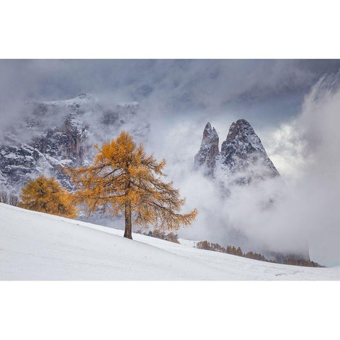 Between Seasons Black Modern Wood Framed Art Print by Ioan Ovidiu, Lazar