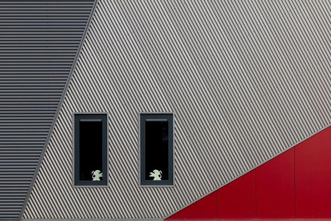 The White Lions Black Ornate Wood Framed Art Print with Double Matting by Luycx, Theo