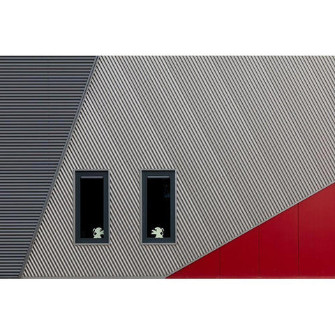 The White Lions Black Modern Wood Framed Art Print with Double Matting by Luycx, Theo