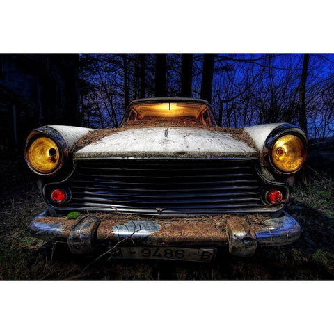 Morris White Modern Wood Framed Art Print by Novillo, Alfonso