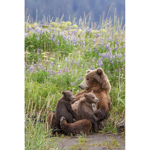 In A Mothers Arms Gold Ornate Wood Framed Art Print with Double Matting by Doyle, Renee