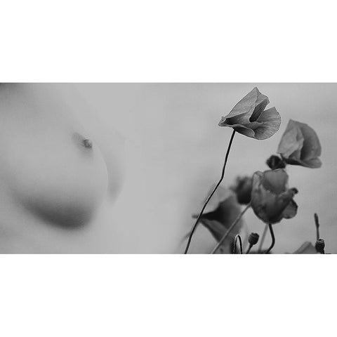 Untitled White Modern Wood Framed Art Print by Bousca, Bogdan