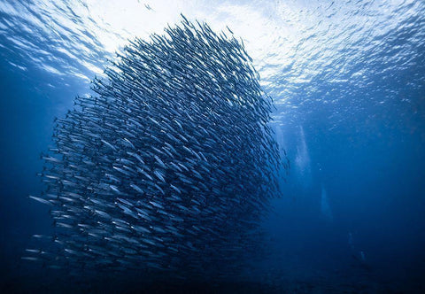 Mass Giant White Modern Wood Framed Art Print with Double Matting by Choi, Yonghoon