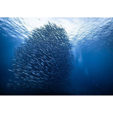 Mass Giant Black Modern Wood Framed Art Print by Choi, Yonghoon