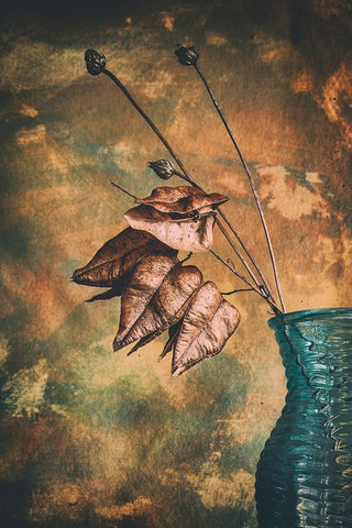 Split Black Ornate Wood Framed Art Print with Double Matting by Kiral, Cicek