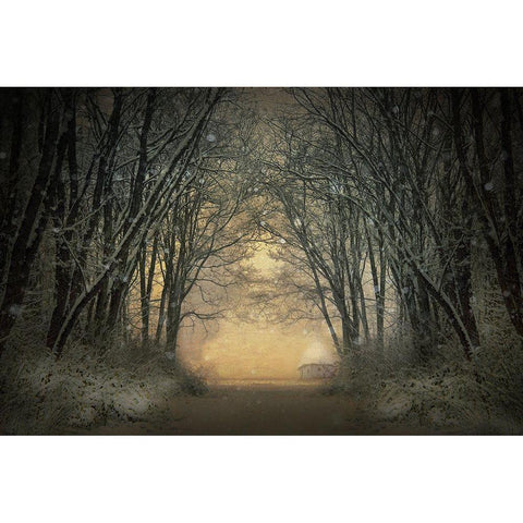 Winter Story Black Modern Wood Framed Art Print with Double Matting by Lia, Adela