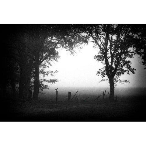 Early Bird Black Modern Wood Framed Art Print with Double Matting by Van Bijnen, Jacqueline