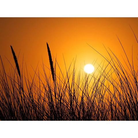 Coastal Beauty Black Modern Wood Framed Art Print with Double Matting by Scott Johnson, Ronald